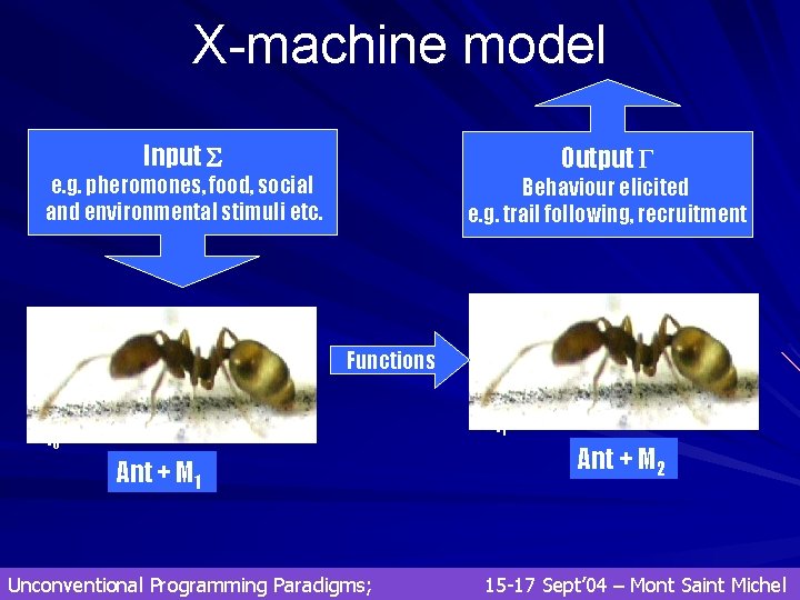 X-machine model Input Output Γ e. g. pheromones, food, social and environmental stimuli etc. X-machine model Input Output Γ e. g. pheromones, food, social and environmental stimuli etc.