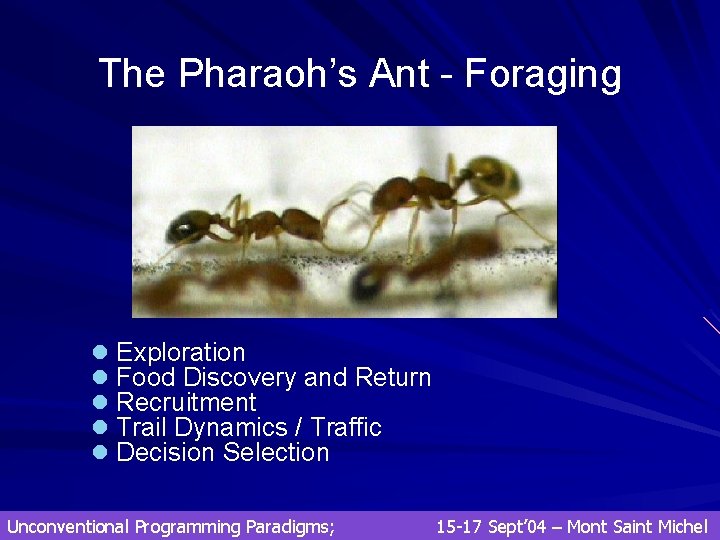 The Pharaoh’s Ant - Foraging l Exploration l Food Discovery and Return l Recruitment The Pharaoh’s Ant - Foraging l Exploration l Food Discovery and Return l Recruitment