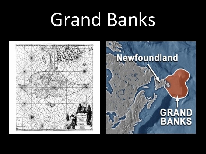 Grand Banks Grand Banks