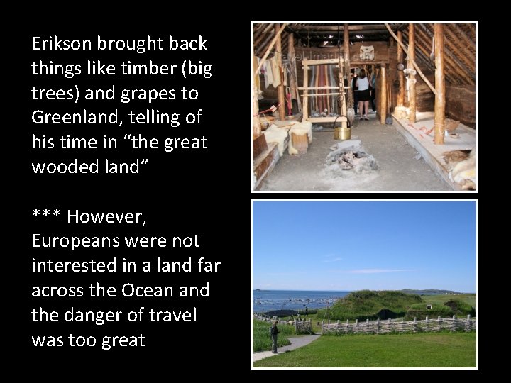 Erikson brought back things like timber (big trees) and grapes to Greenland, telling of Erikson brought back things like timber (big trees) and grapes to Greenland, telling of