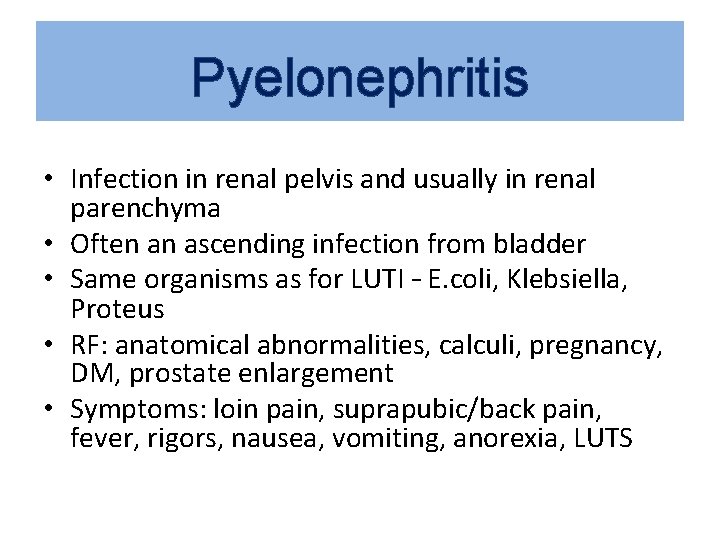 Pyelonephritis • Infection in renal pelvis and usually in renal parenchyma • Often an