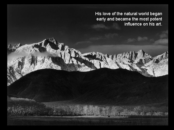 His love of the natural world began early and became the most potent influence