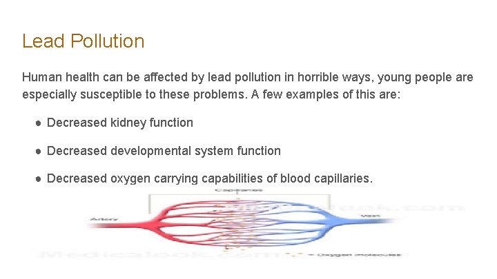 Lead Pollution Human health can be affected by lead pollution in horrible ways, young