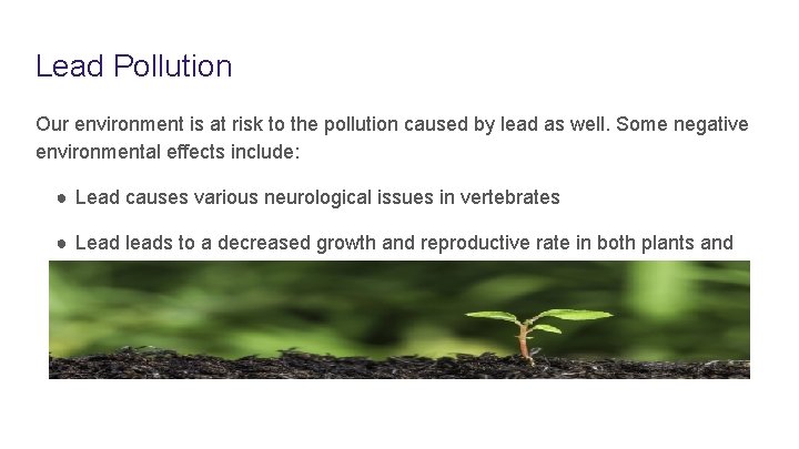 Lead Pollution Our environment is at risk to the pollution caused by lead as