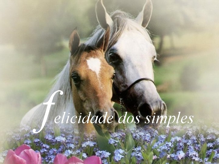 f elicidade dos simples 