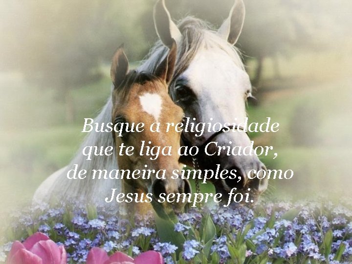 Busque a religiosidade que te liga ao Criador, de maneira simples, como Jesus sempre