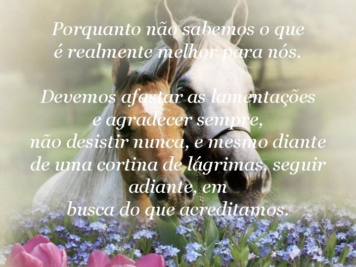Porquanto não sabemos o que é realmente melhor para nós. Devemos afastar as lamentações