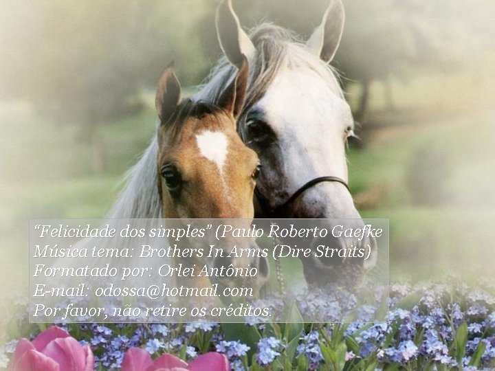 “Felicidade dos simples” (Paulo Roberto Gaefke Música tema: Brothers In Arms (Dire Straits) Formatado