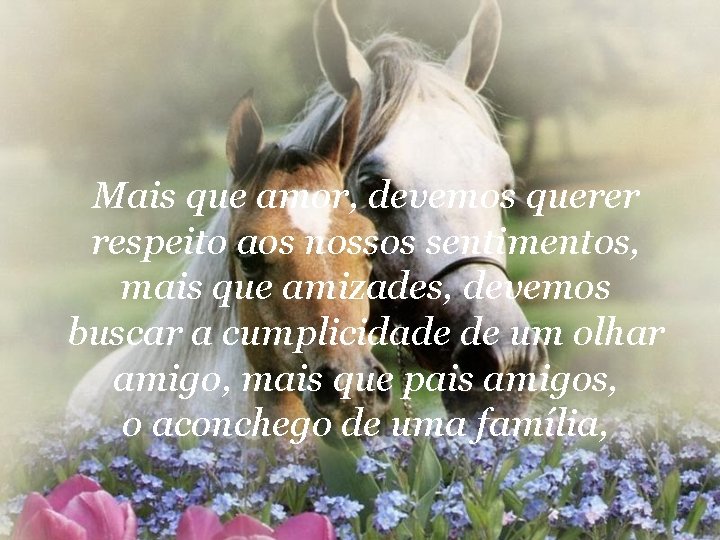 Mais que amor, devemos querer respeito aos nossos sentimentos, mais que amizades, devemos buscar