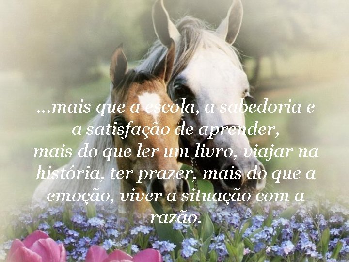 . . . mais que a escola, a sabedoria e a satisfação de aprender,