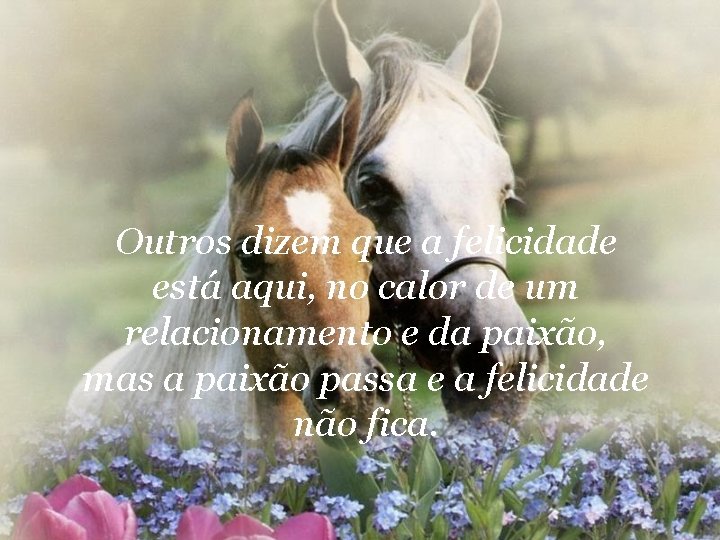 Outros dizem que a felicidade está aqui, no calor de um relacionamento e da