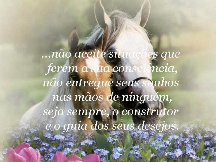 . . . não aceite situações que ferem a sua consciência, não entregue seus