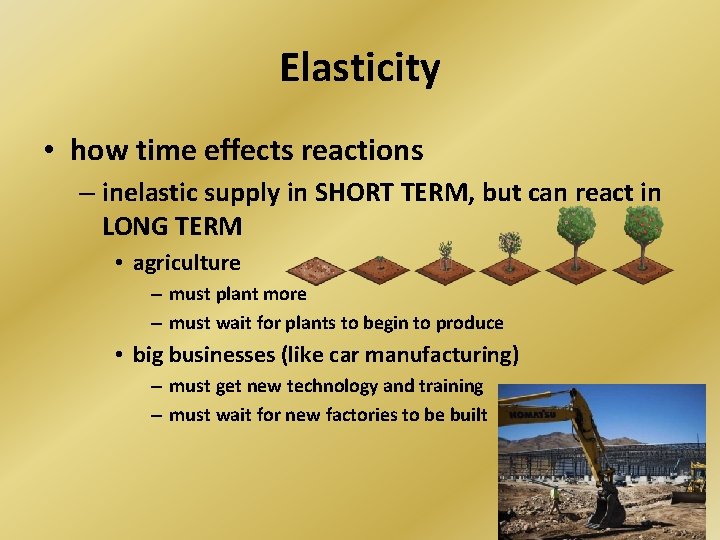 Elasticity • how time effects reactions – inelastic supply in SHORT TERM, but can