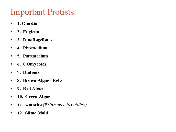 Important Protists: • 1. Giardia • 2. Euglena • 3. Dinoflagellates • 4. Plasmodium
