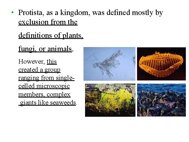  • Protista, as a kingdom, was defined mostly by exclusion from the •