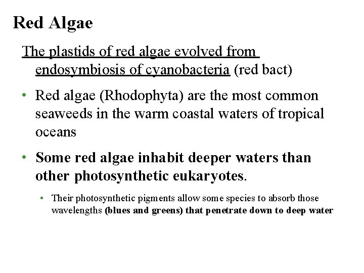 Red Algae The plastids of red algae evolved from endosymbiosis of cyanobacteria (red bact)