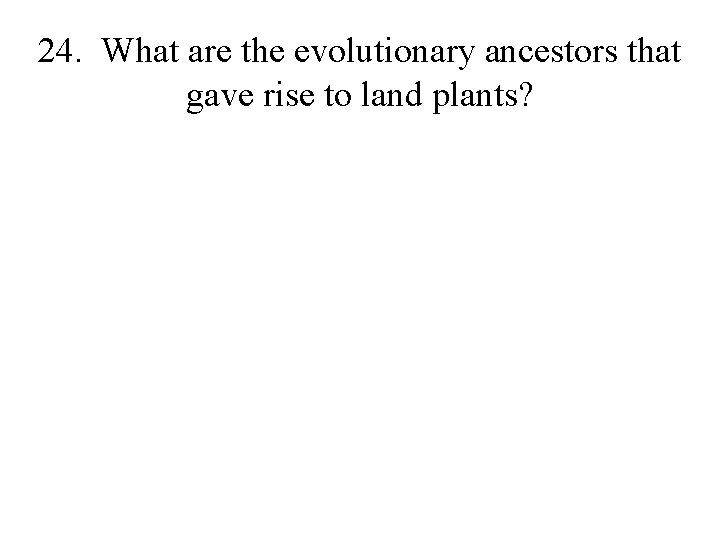 24. What are the evolutionary ancestors that gave rise to land plants? 