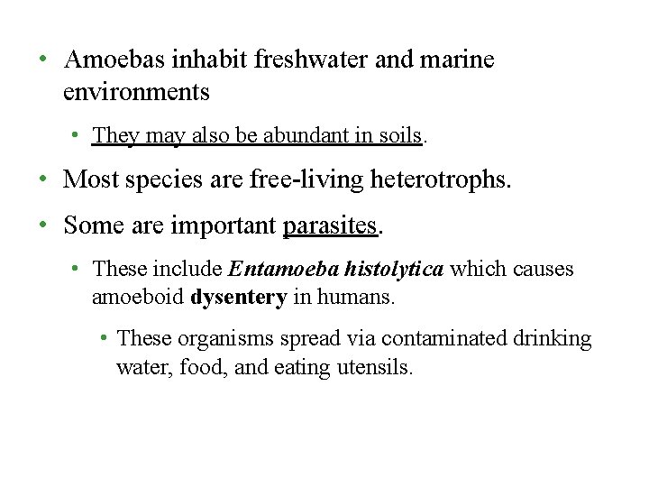  • Amoebas inhabit freshwater and marine environments • They may also be abundant