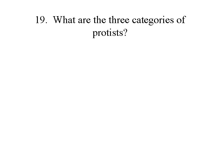 19. What are three categories of protists? 