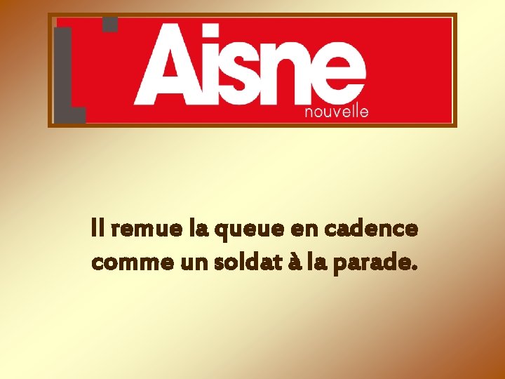 Il remue la queue en cadence comme un soldat à la parade. 