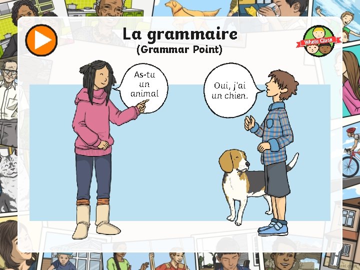 La grammaire (Grammar Point) As-tu un animal ? Oui, j’ai un chien. 