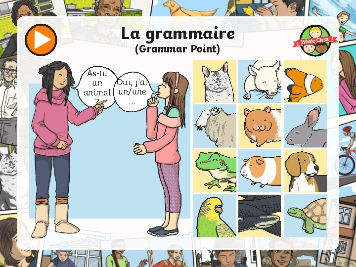 La grammaire (Grammar Point) As-tu Oui, j’ai un animal un/une. . . ? 