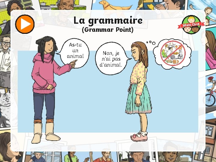 La grammaire (Grammar Point) As-tu un animal ? Non, je n’ai pas d’animal. 