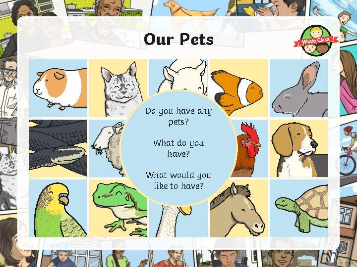 Our Pets Do you have any pets? What do you have? What would you