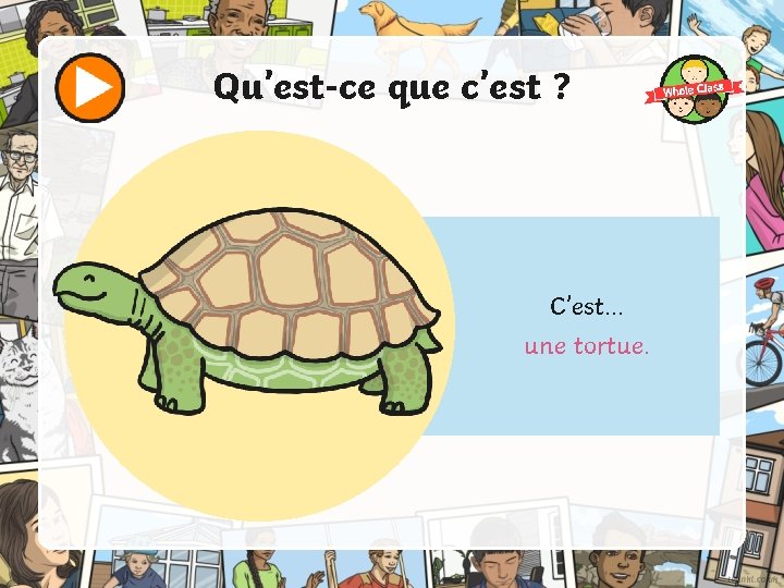 Qu’est-ce que c’est ? C’est. . . une tortue. 