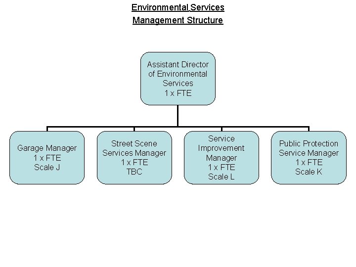 Environmental Services Management Structure Assistant Director of ...