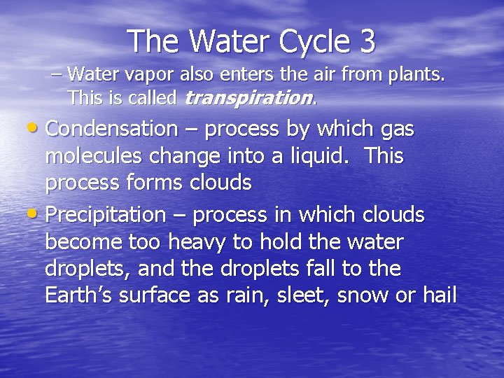 The Water Cycle 3 – Water vapor also enters the air from plants. This