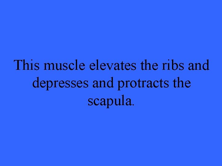 This muscle elevates the ribs and depresses and protracts the scapula. 