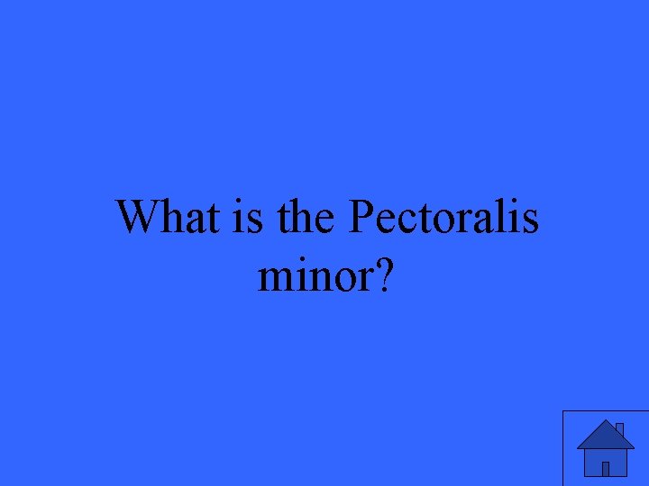 What is the Pectoralis minor? 