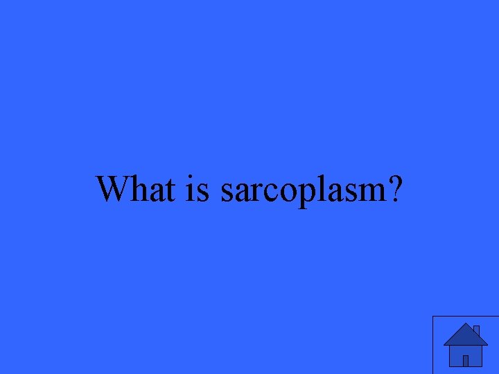 What is sarcoplasm? 