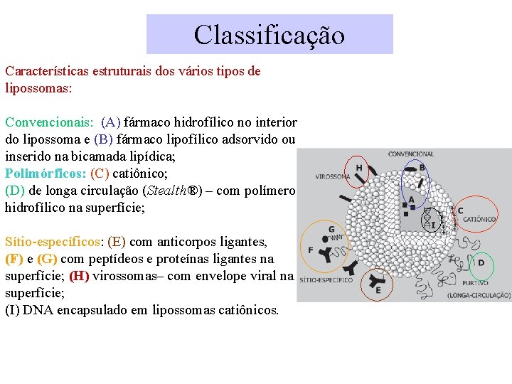 Classificação Características estruturais dos vários tipos de lipossomas: Convencionais: (A) fármaco hidrofílico no interior