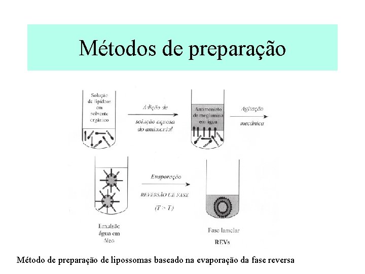 Métodos de preparação Método de preparação de lipossomas baseado na evaporação da fase reversa