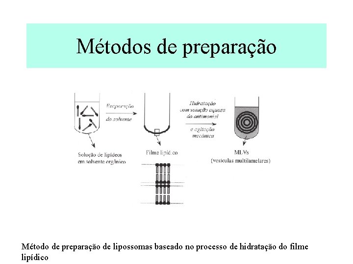 Métodos de preparação Método de preparação de lipossomas baseado no processo de hidratação do