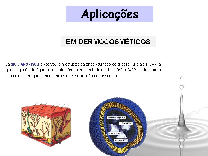 Aplicações EM DERMOCOSMÉTICOS Já SICILIANO (1985) observou em estudos da encapsulação de glicerol, uréia