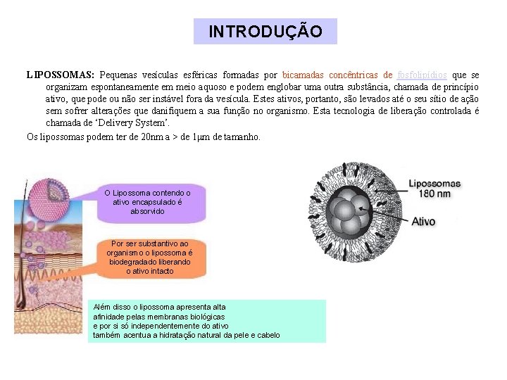 INTRODUÇÃO LIPOSSOMAS: Pequenas vesículas esféricas formadas por bicamadas concêntricas de fosfolipídios que se organizam