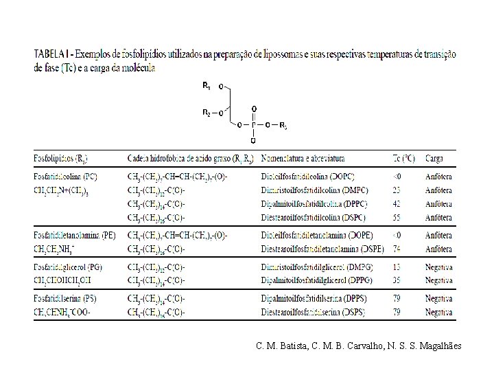 C. M. Batista, C. M. B. Carvalho, N. S. S. Magalhães 