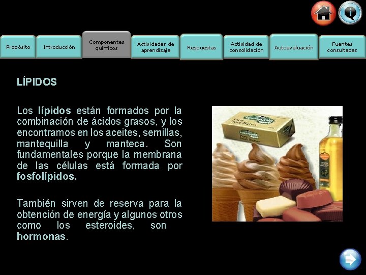 Propósito Introducción Componentes químicos Actividades de aprendizaje LÍPIDOS Los lípidos están formados por la