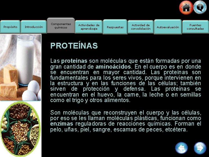 Propósito Introducción Componentes químicos Actividades de aprendizaje Respuestas Actividad de consolidación Autoevaluación Fuentes consultadas