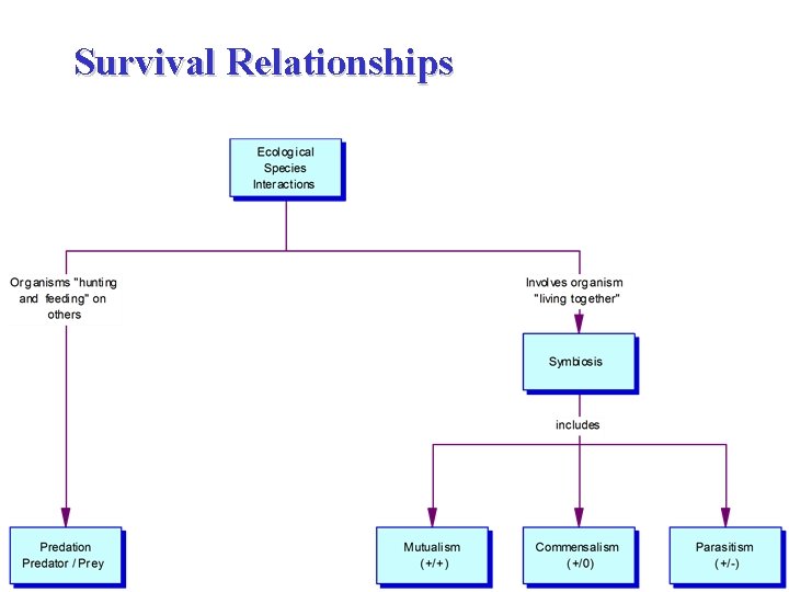 Survival Relationships 