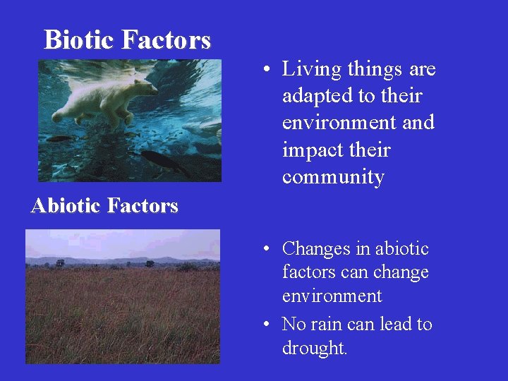 Biotic Factors • Living things are adapted to their environment and impact their community