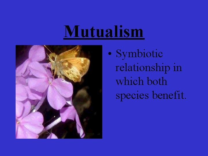 Mutualism • Symbiotic relationship in which both species benefit. 