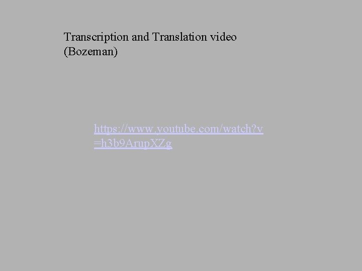 Transcription and Translation video (Bozeman) https: //www. youtube. com/watch? v =h 3 b 9