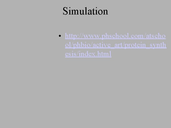 Simulation • http: //www. phschool. com/atscho ol/phbio/active_art/protein_synth esis/index. html 
