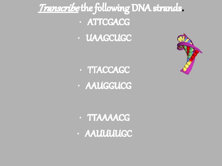 Transcribe the following DNA strands. • ATTCGACG • UAAGCUGC • TTACCAGC • AAUGGUCG •