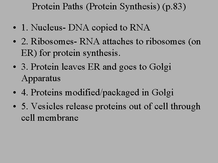 Protein Paths (Protein Synthesis) (p. 83) • 1. Nucleus- DNA copied to RNA •
