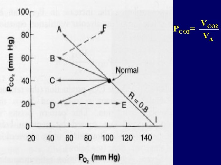 VCO 2 PCO 2= VA 